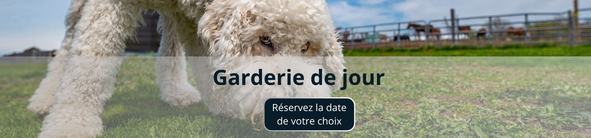 Garderie de jour