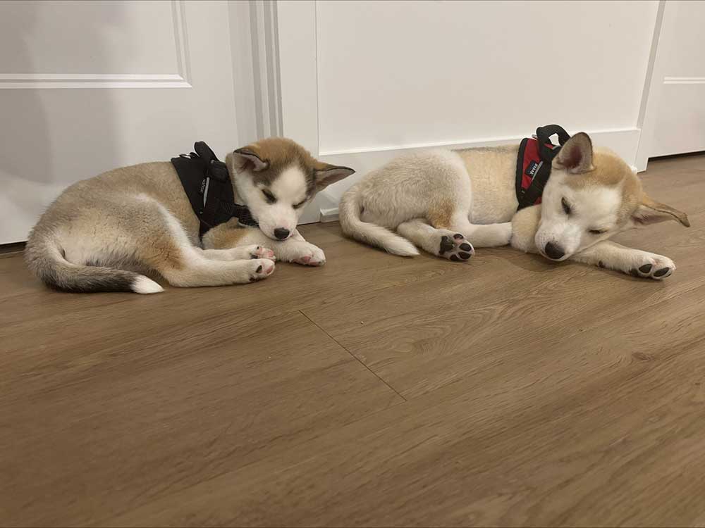 processed-176FE60E-E3BB-4D5E-8A44-56A64F3C5B42