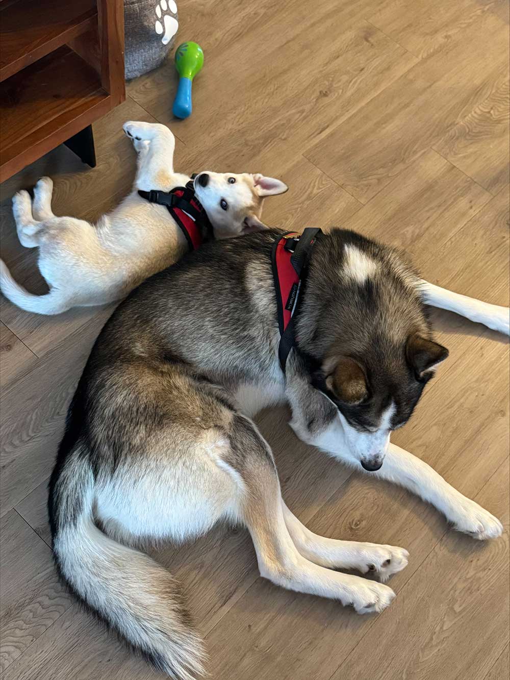 processed-8616D821-D8F3-43D9-A58A-0FA0115DF89A